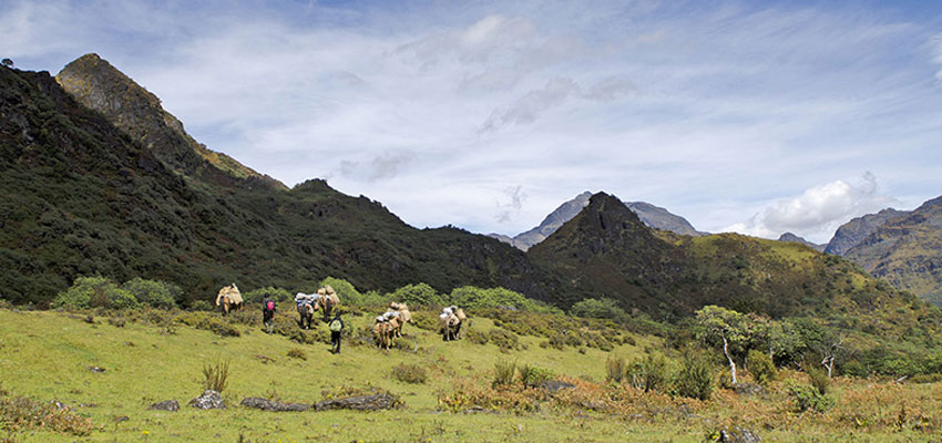 Druk Path Trek