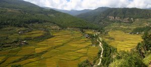 Minimum Daily Package Rate Paro valley - Shangrila Footprints
