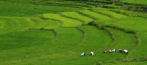 Punakha valley - shangrila footprints